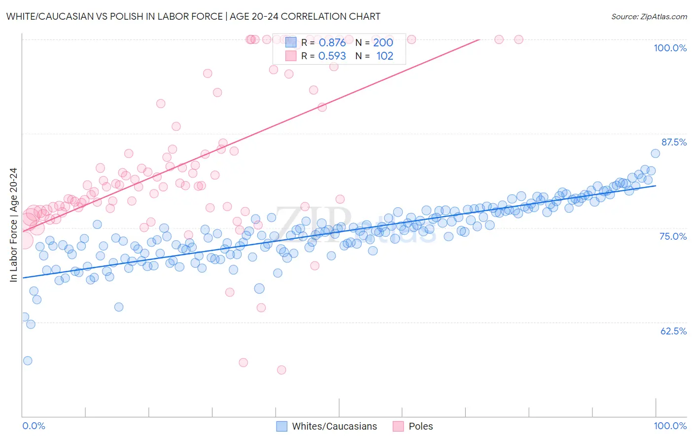 White/Caucasian vs Polish In Labor Force | Age 20-24