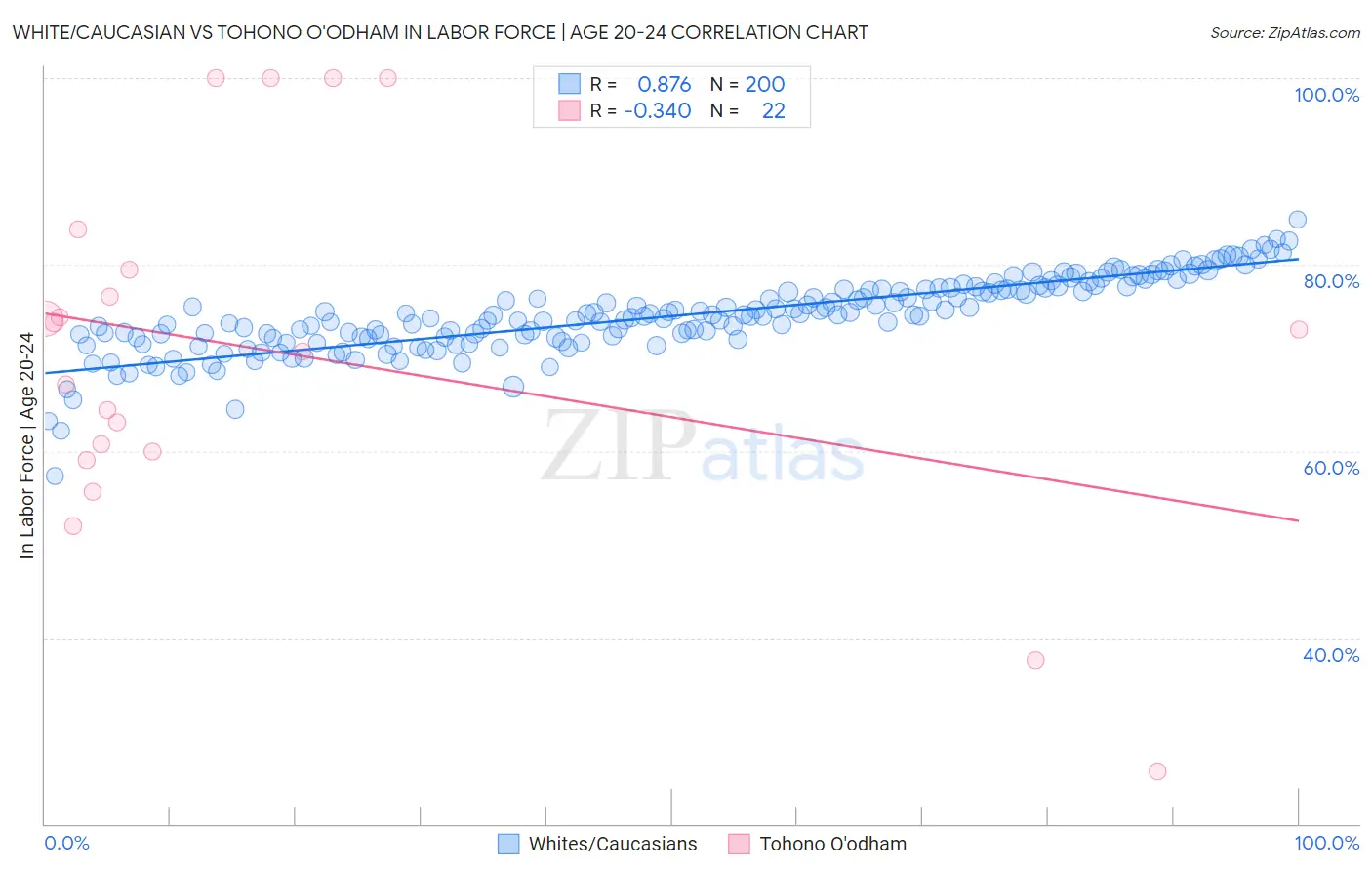 White/Caucasian vs Tohono O'odham In Labor Force | Age 20-24