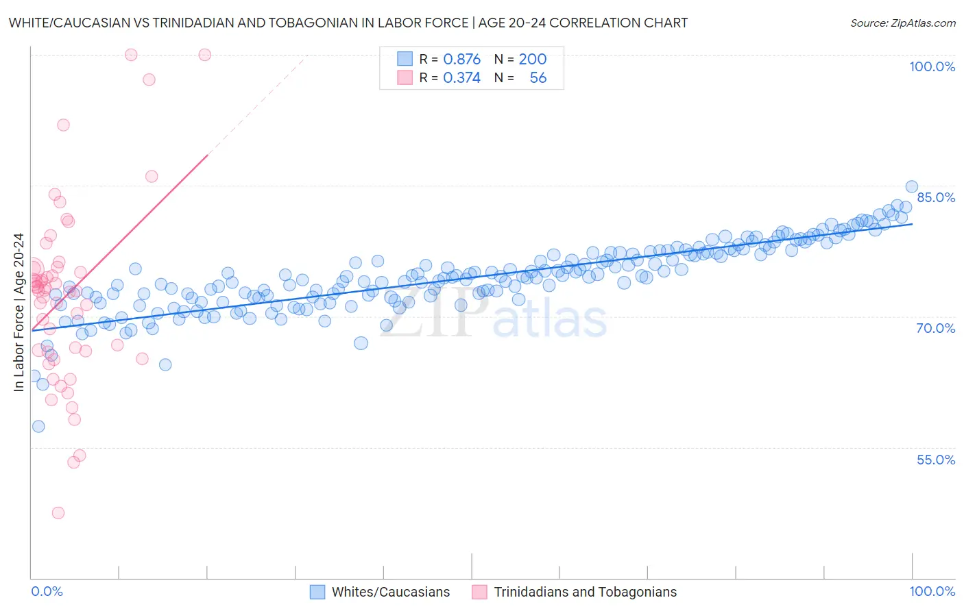 White/Caucasian vs Trinidadian and Tobagonian In Labor Force | Age 20-24