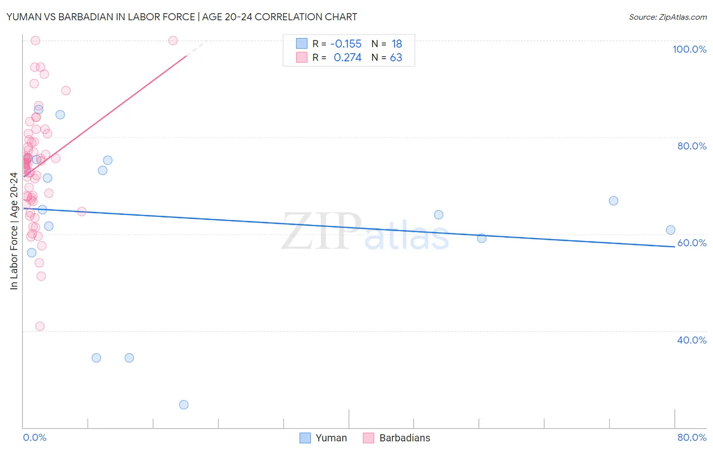 Yuman vs Barbadian In Labor Force | Age 20-24