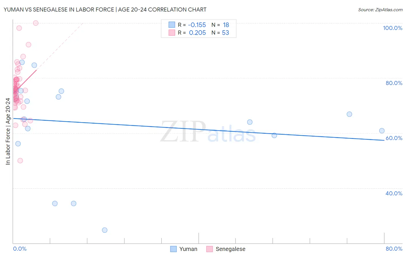 Yuman vs Senegalese In Labor Force | Age 20-24