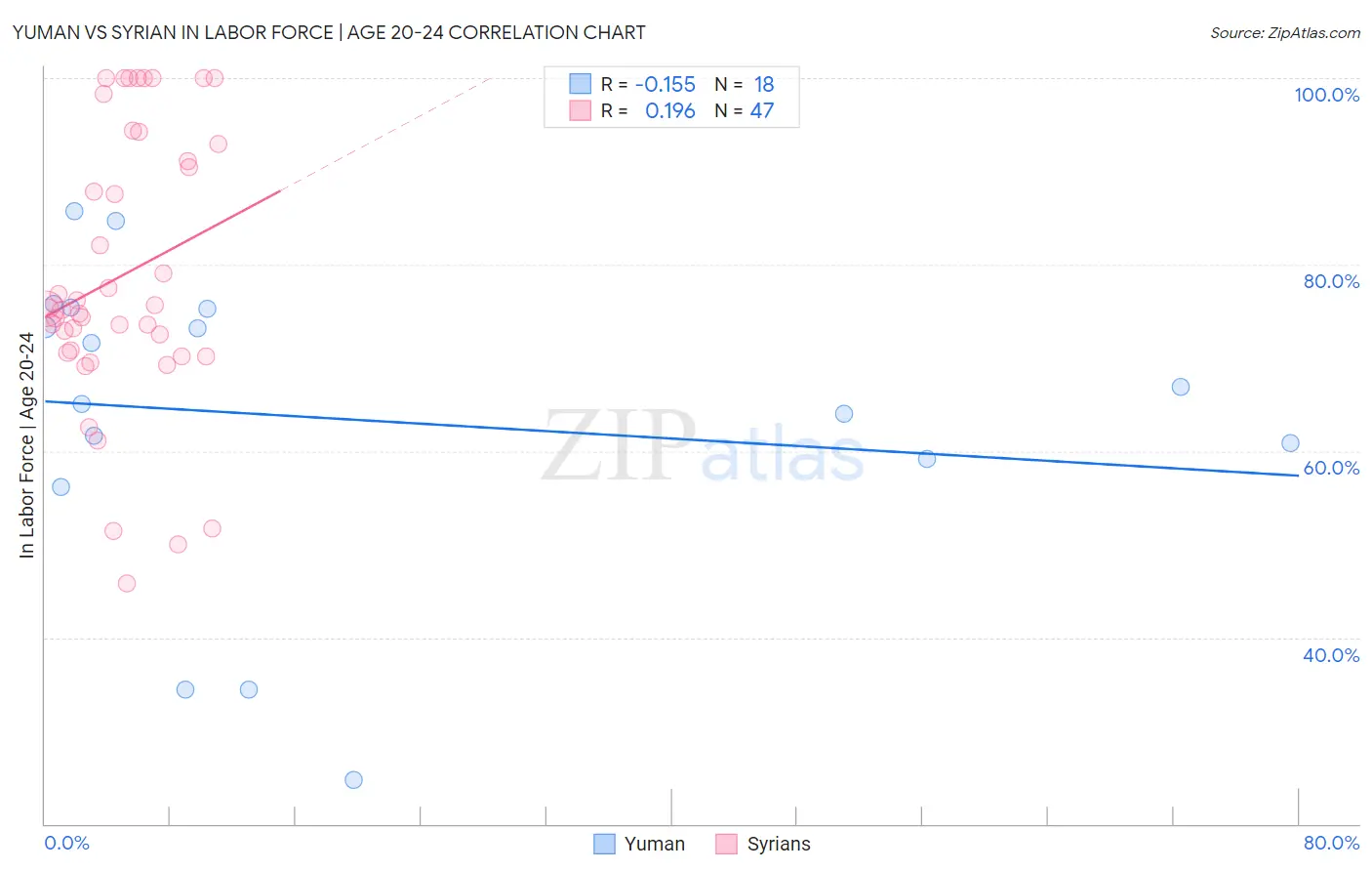 Yuman vs Syrian In Labor Force | Age 20-24