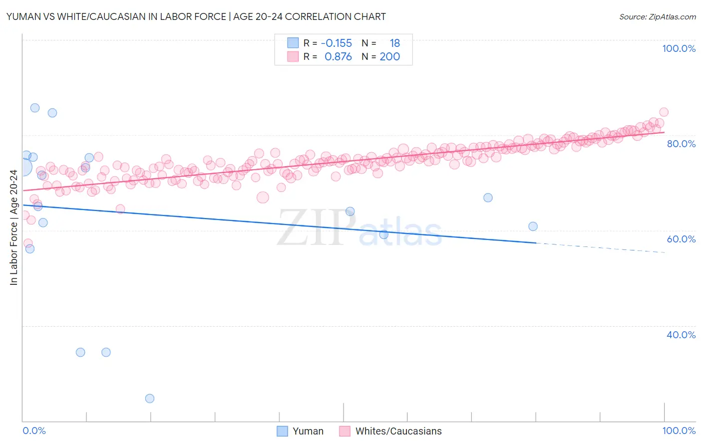 Yuman vs White/Caucasian In Labor Force | Age 20-24