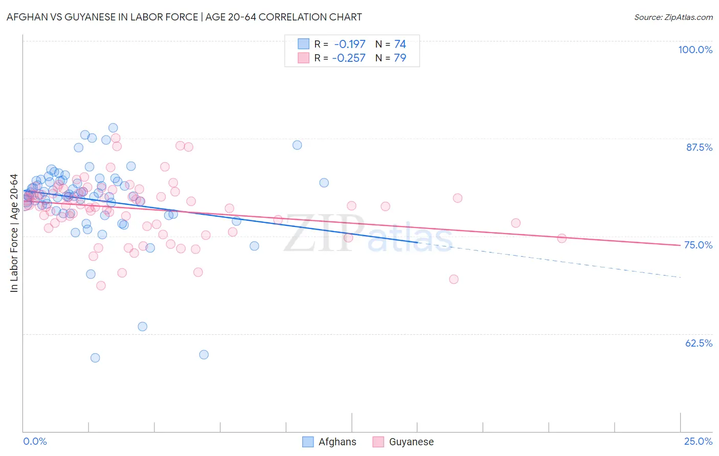 Afghan vs Guyanese In Labor Force | Age 20-64