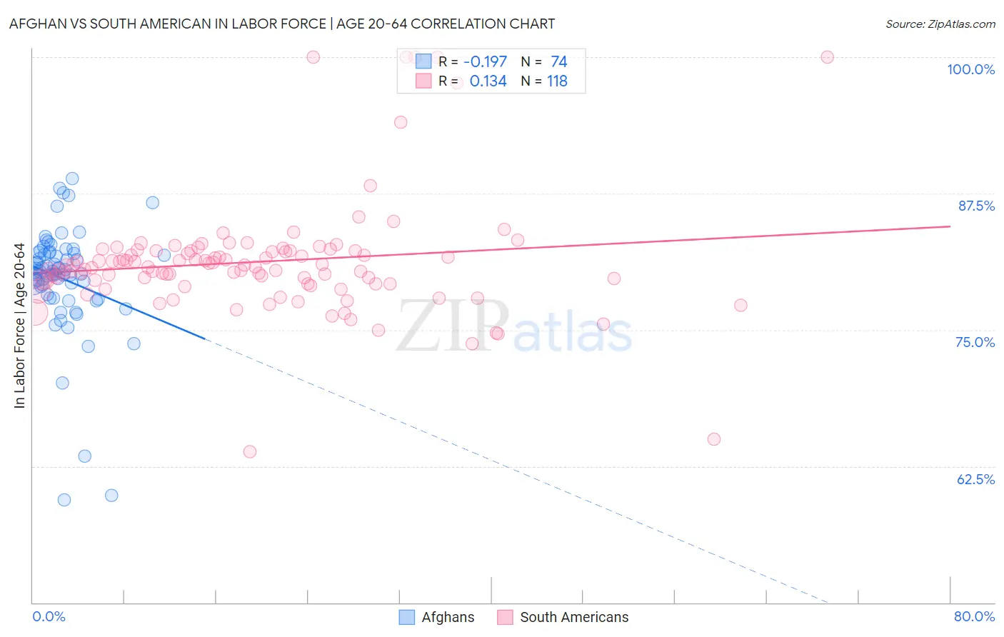 Afghan vs South American In Labor Force | Age 20-64