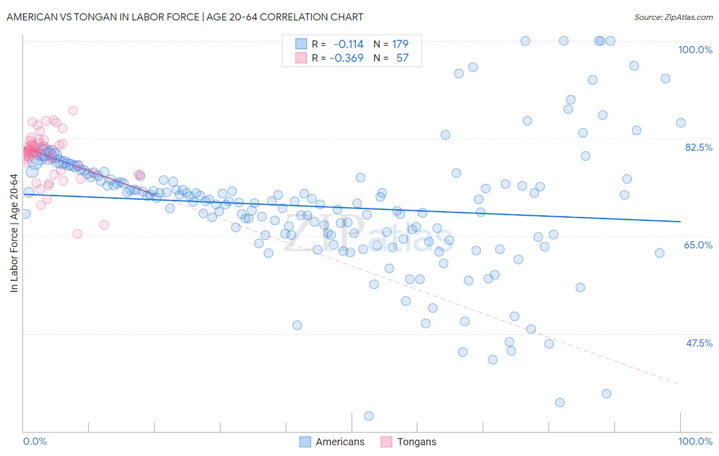 American vs Tongan In Labor Force | Age 20-64