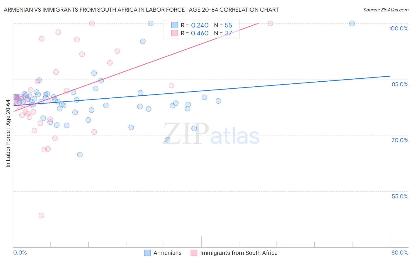 Armenian vs Immigrants from South Africa In Labor Force | Age 20-64