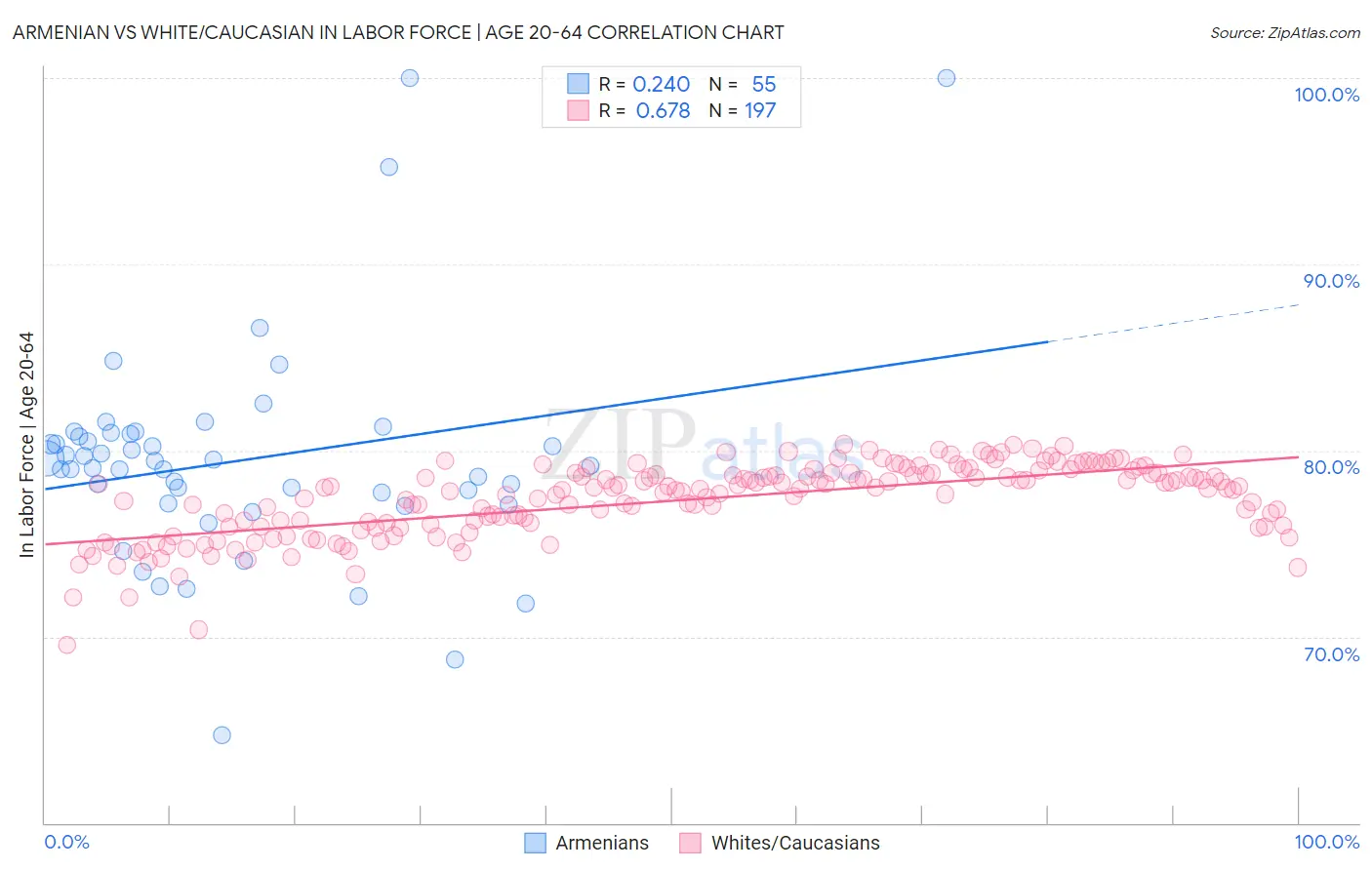 Armenian vs White/Caucasian In Labor Force | Age 20-64