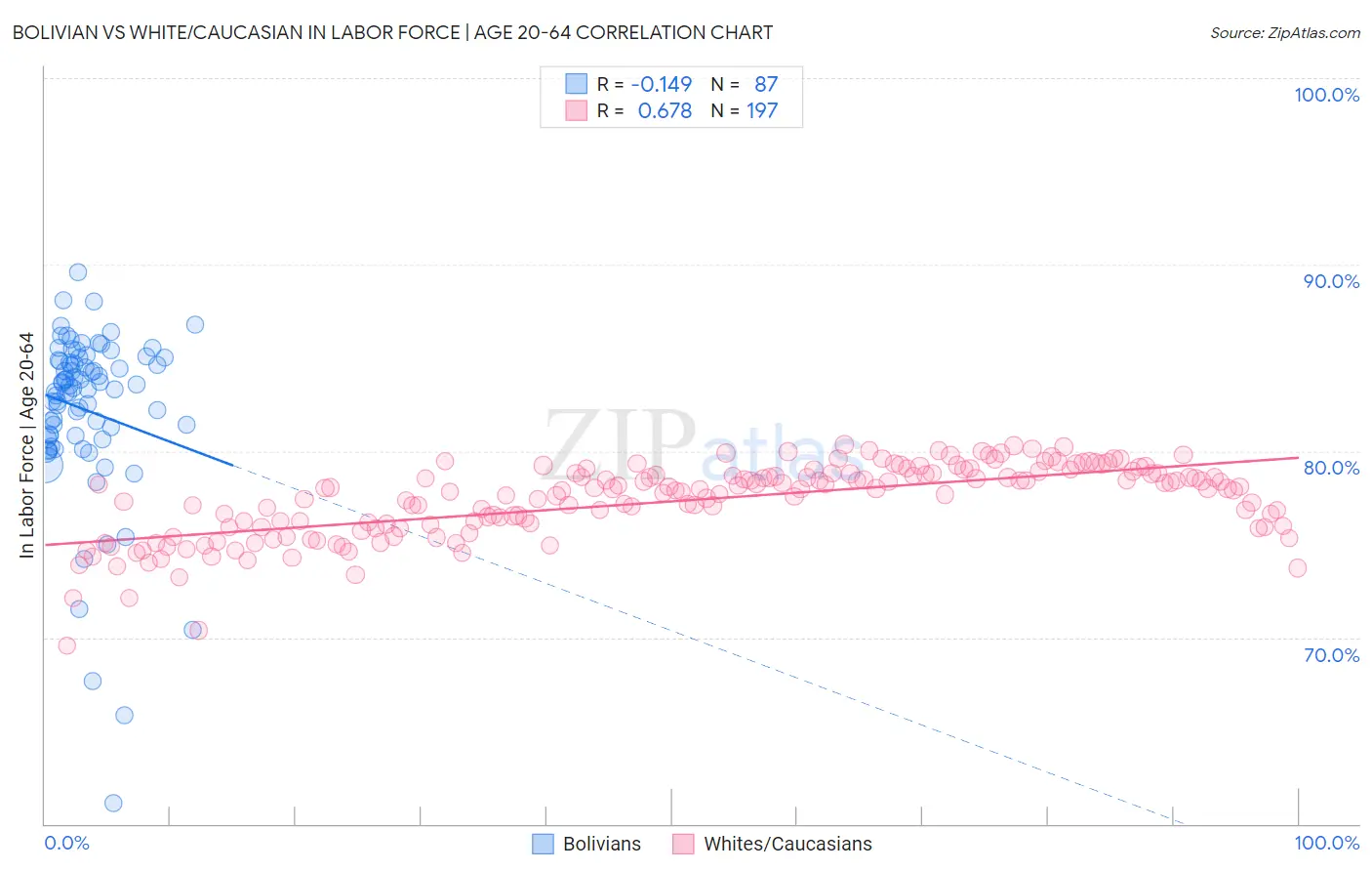 Bolivian vs White/Caucasian In Labor Force | Age 20-64