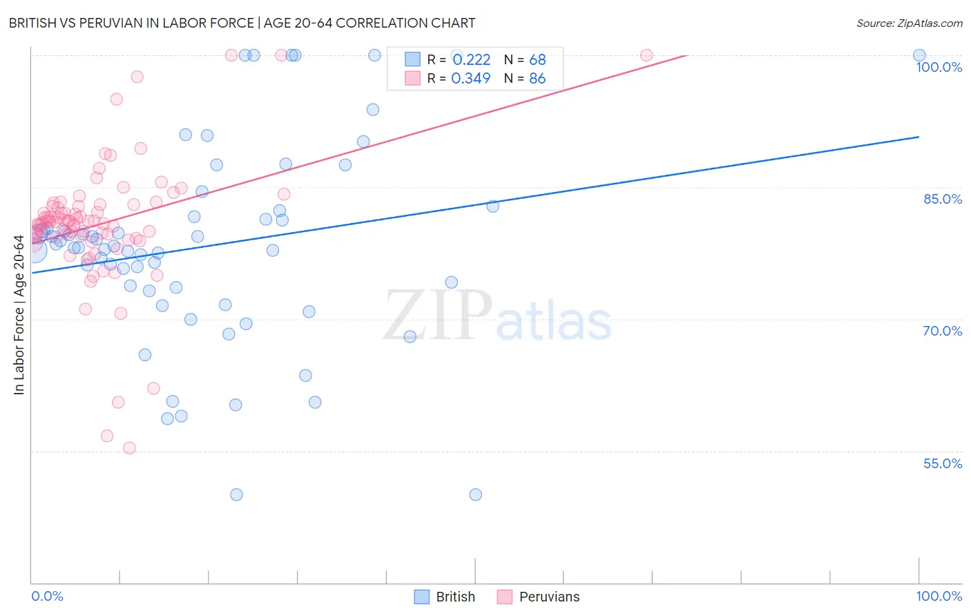 British vs Peruvian In Labor Force | Age 20-64