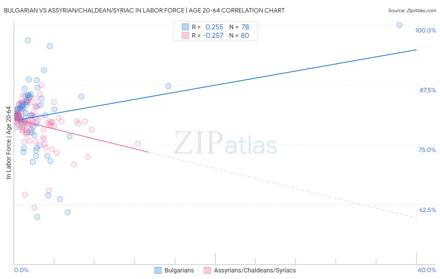 Bulgarian vs Assyrian/Chaldean/Syriac In Labor Force | Age 20-64