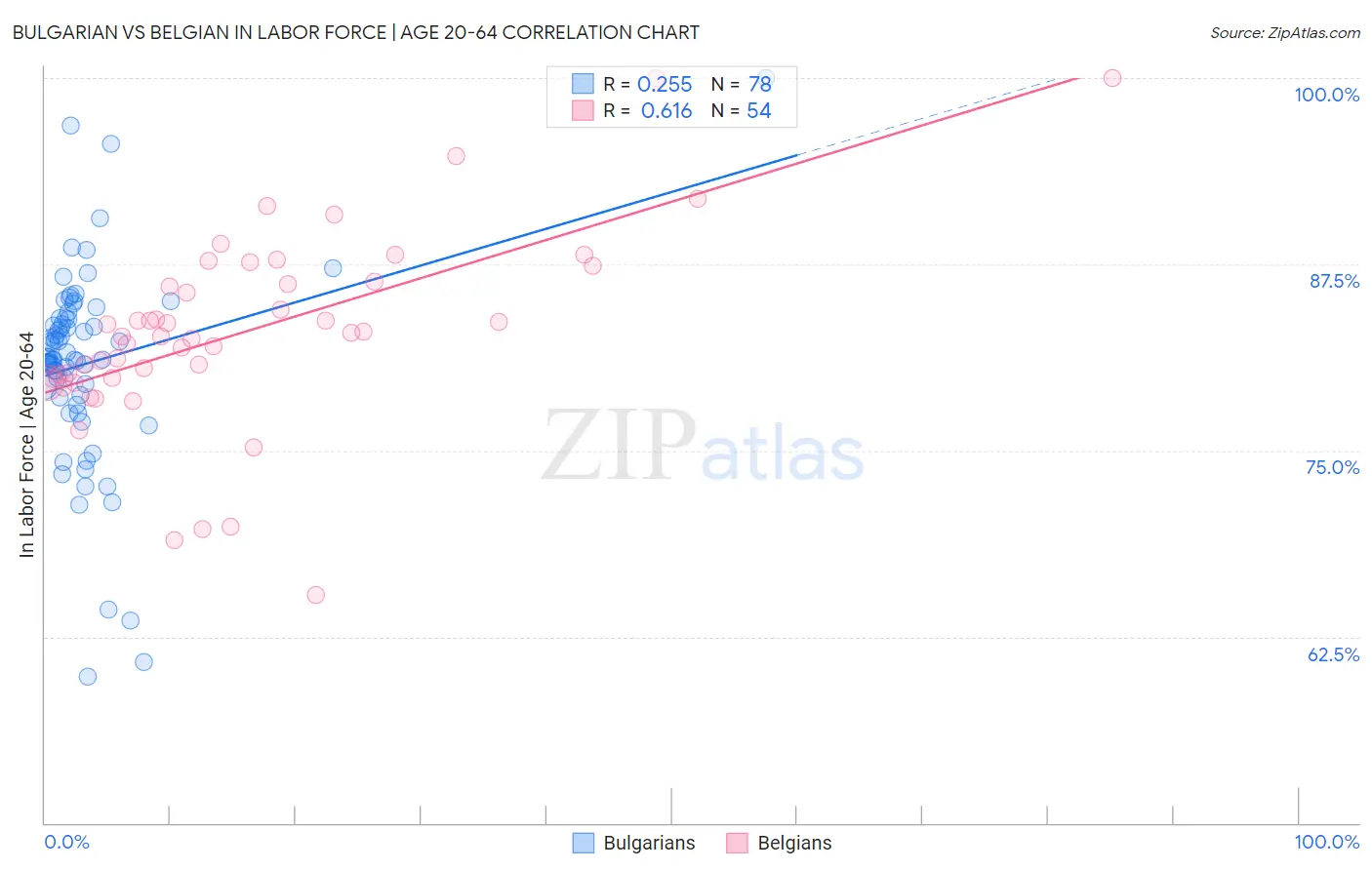 Bulgarian vs Belgian In Labor Force | Age 20-64