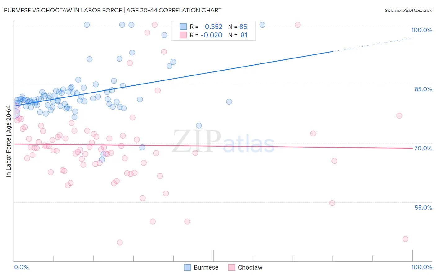 Burmese vs Choctaw In Labor Force | Age 20-64