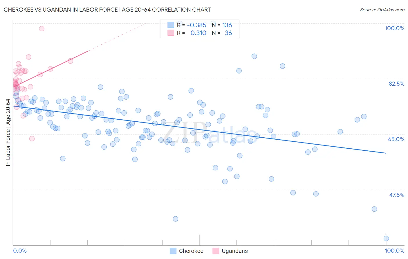 Cherokee vs Ugandan In Labor Force | Age 20-64