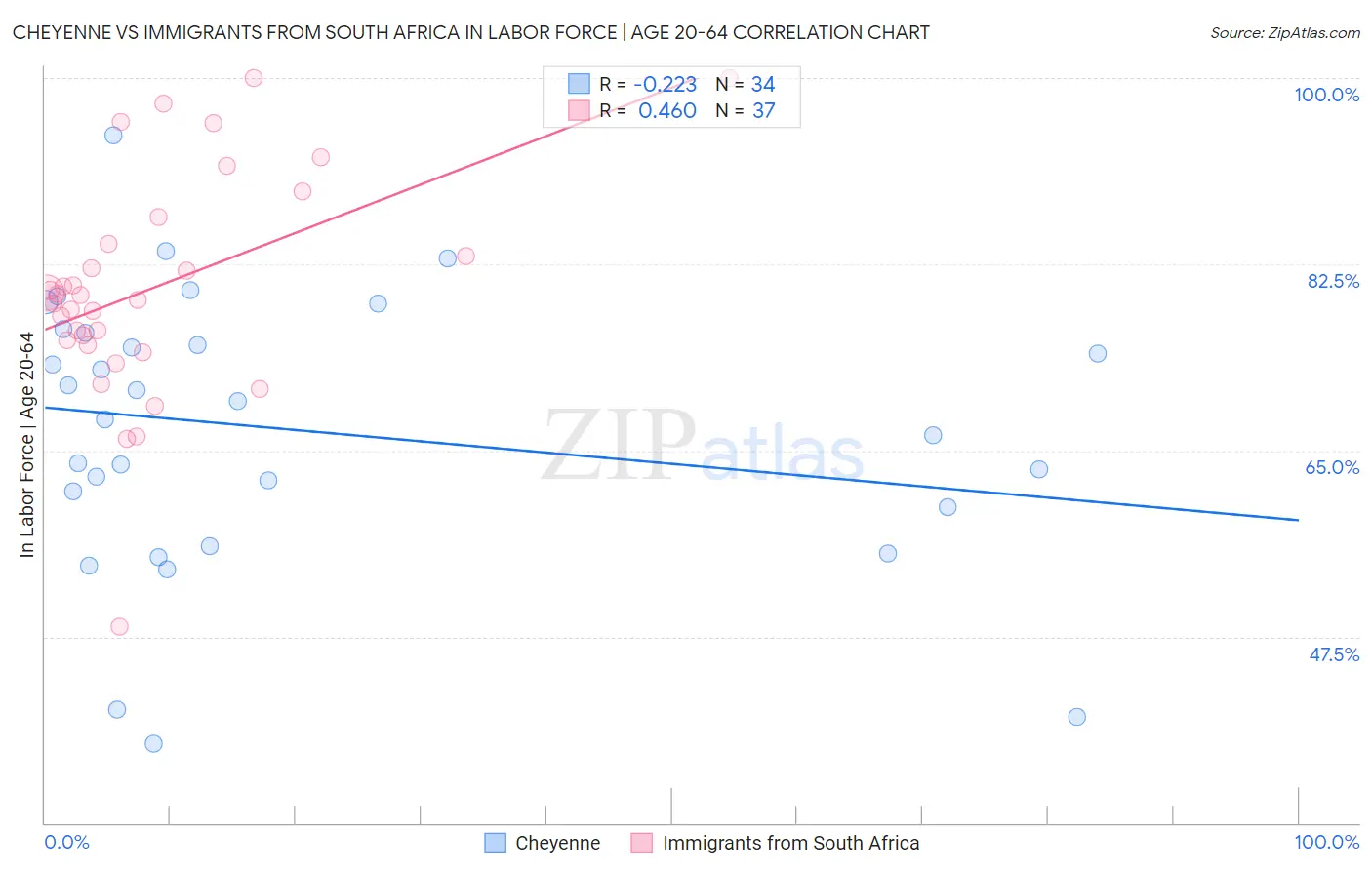 Cheyenne vs Immigrants from South Africa In Labor Force | Age 20-64