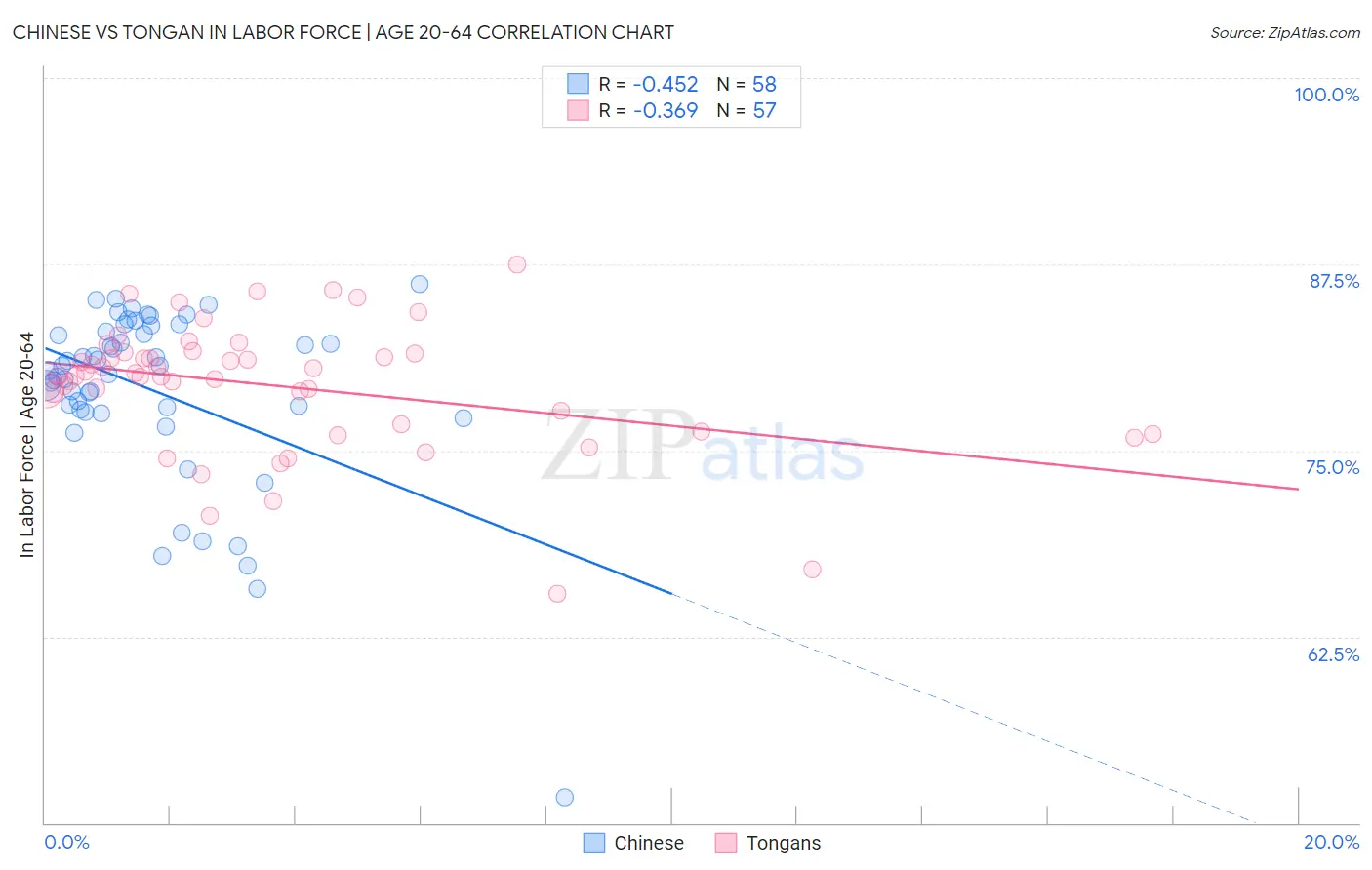 Chinese vs Tongan In Labor Force | Age 20-64