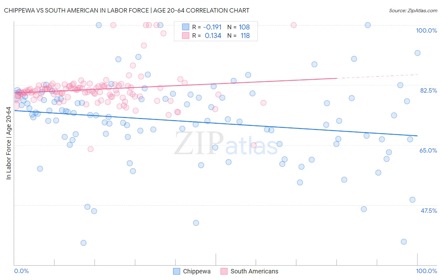 Chippewa vs South American In Labor Force | Age 20-64