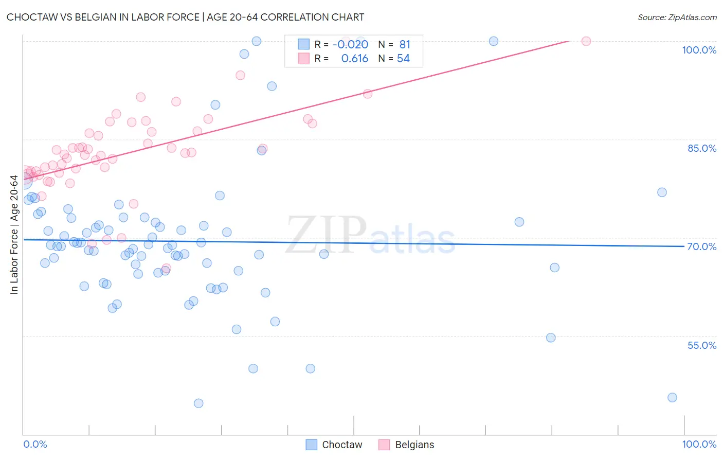 Choctaw vs Belgian In Labor Force | Age 20-64