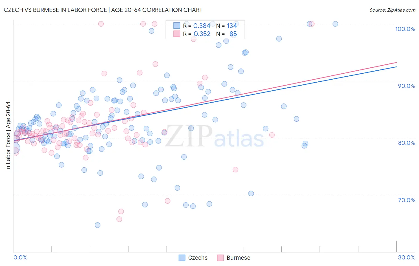 Czech vs Burmese In Labor Force | Age 20-64