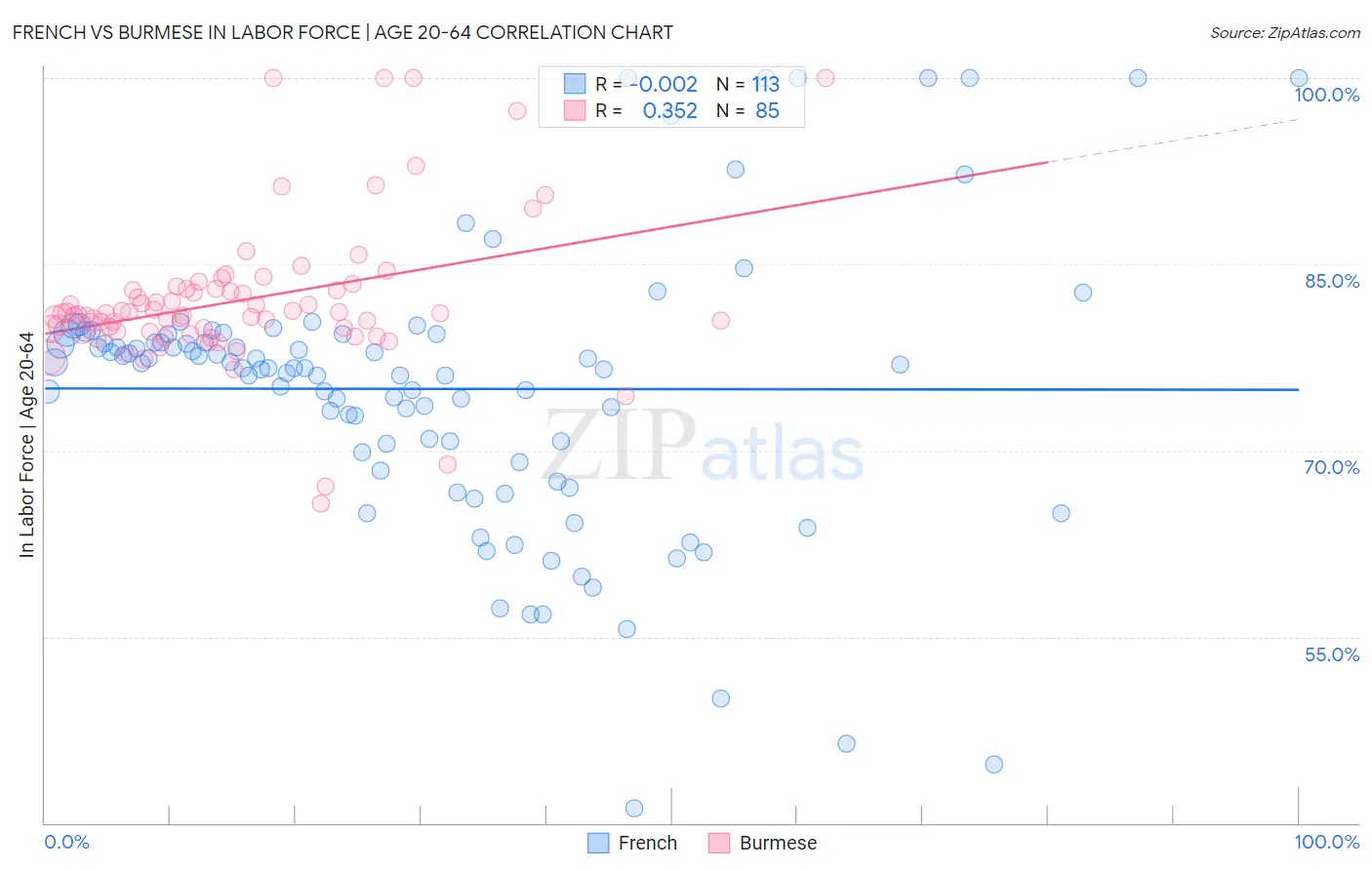 French vs Burmese In Labor Force | Age 20-64