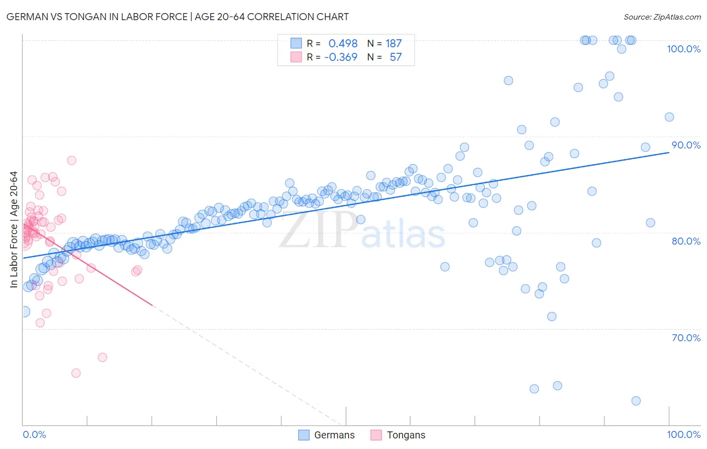 German vs Tongan In Labor Force | Age 20-64