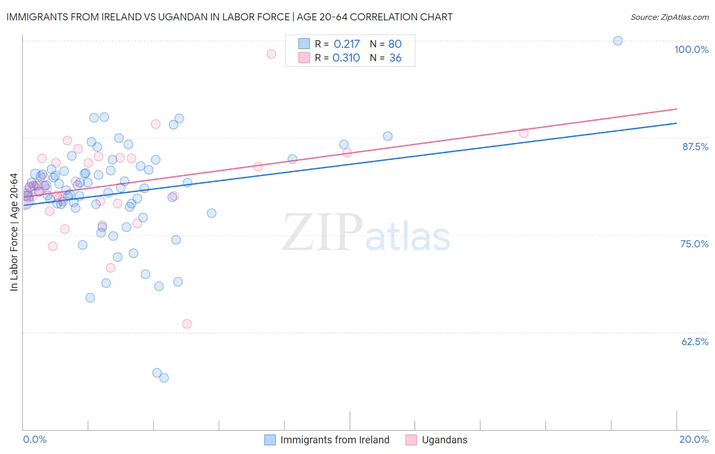 Immigrants from Ireland vs Ugandan In Labor Force | Age 20-64