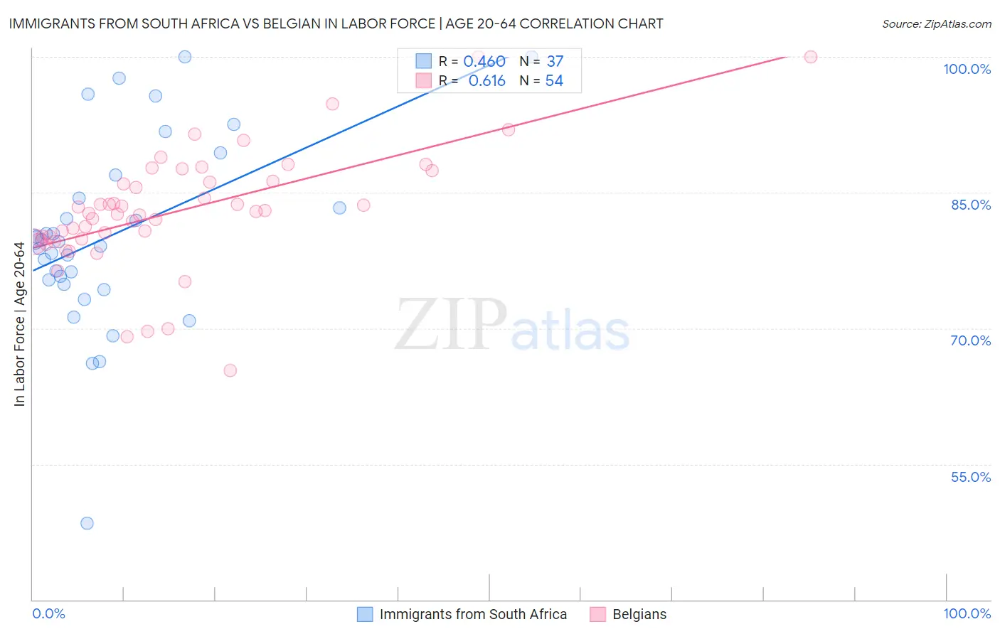 Immigrants from South Africa vs Belgian In Labor Force | Age 20-64