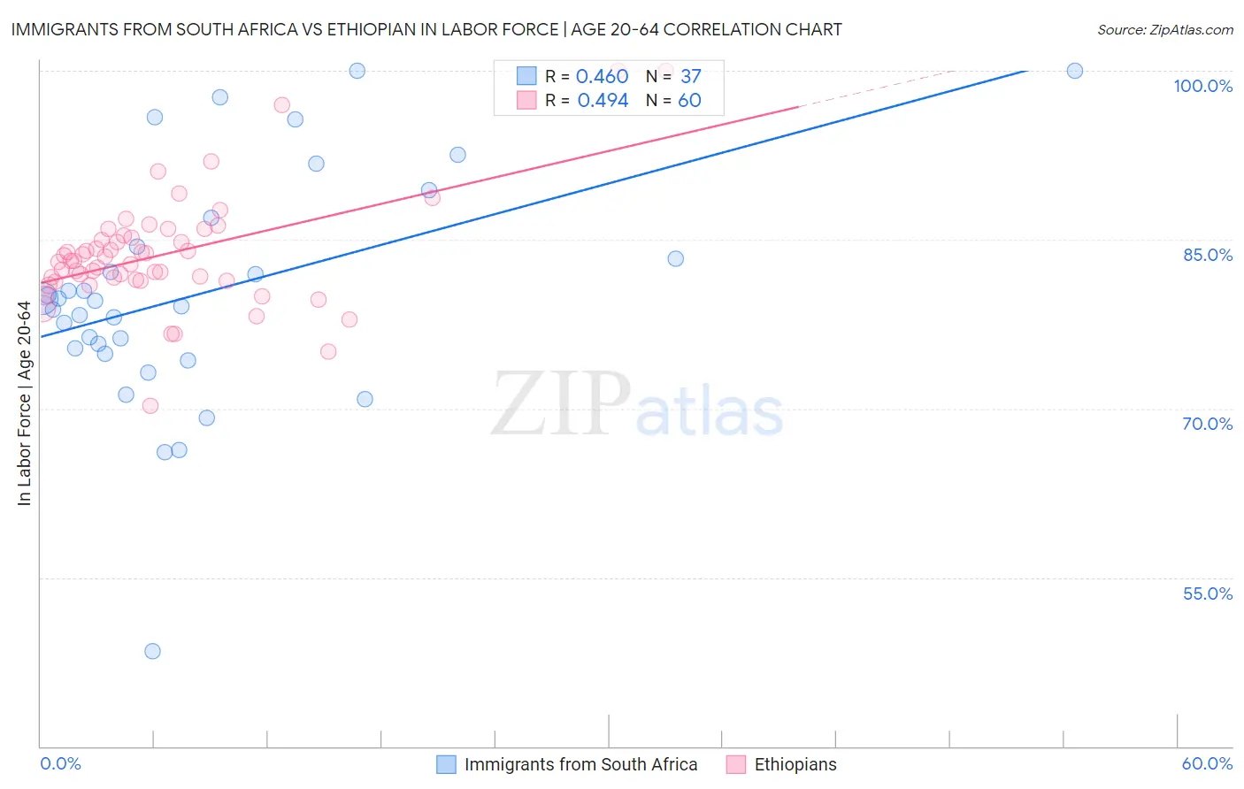 Immigrants from South Africa vs Ethiopian In Labor Force | Age 20-64