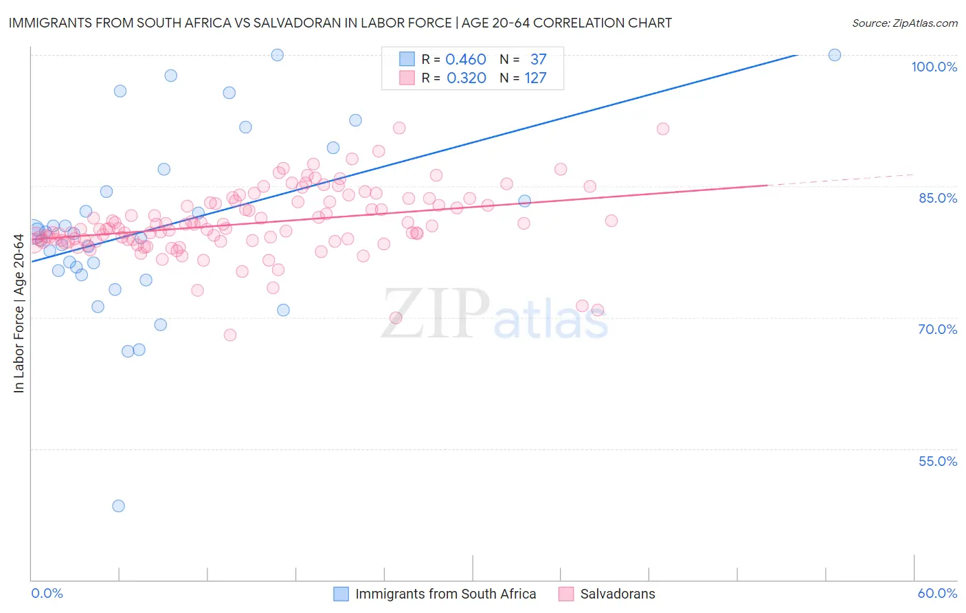 Immigrants from South Africa vs Salvadoran In Labor Force | Age 20-64