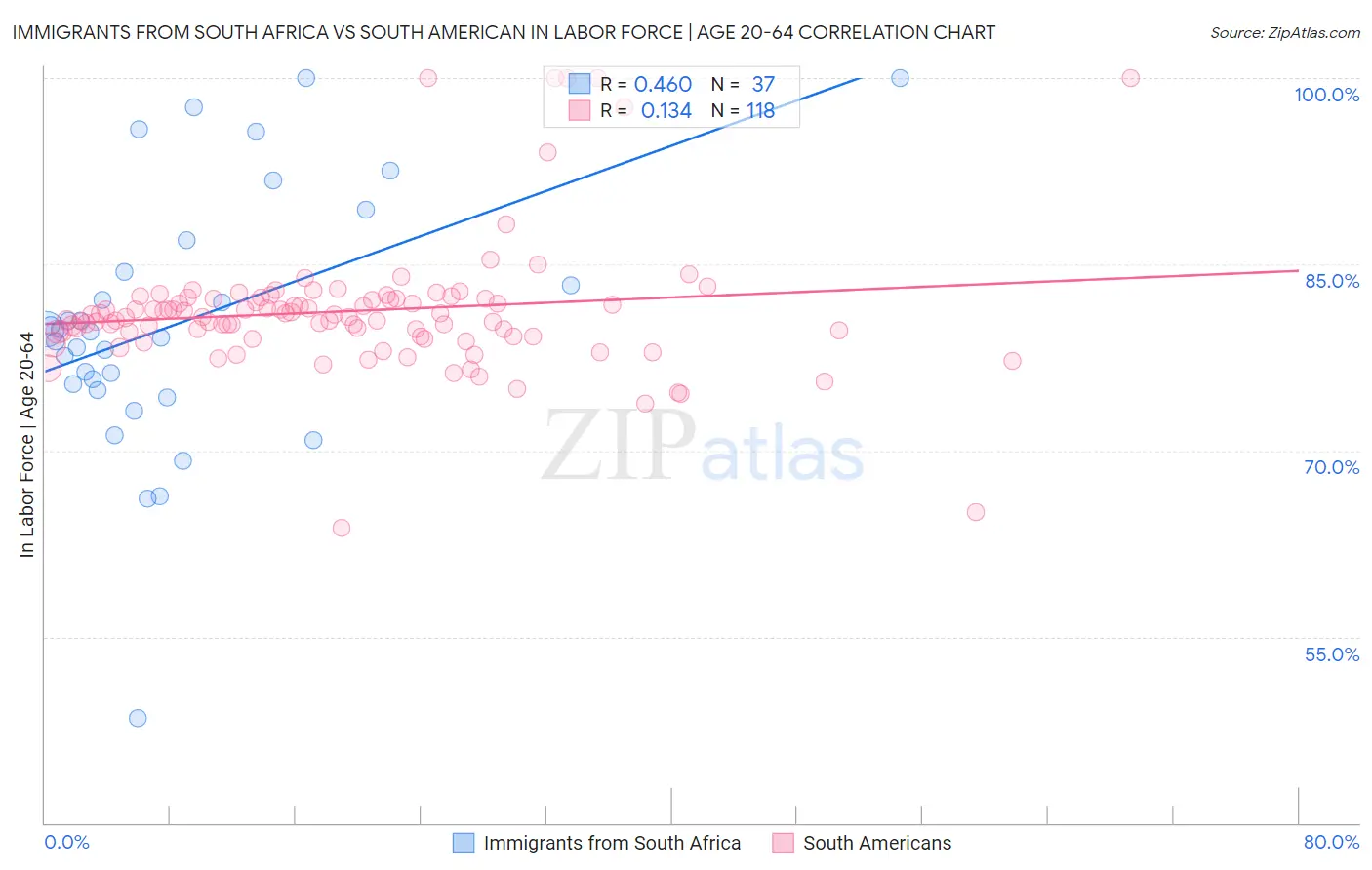 Immigrants from South Africa vs South American In Labor Force | Age 20-64