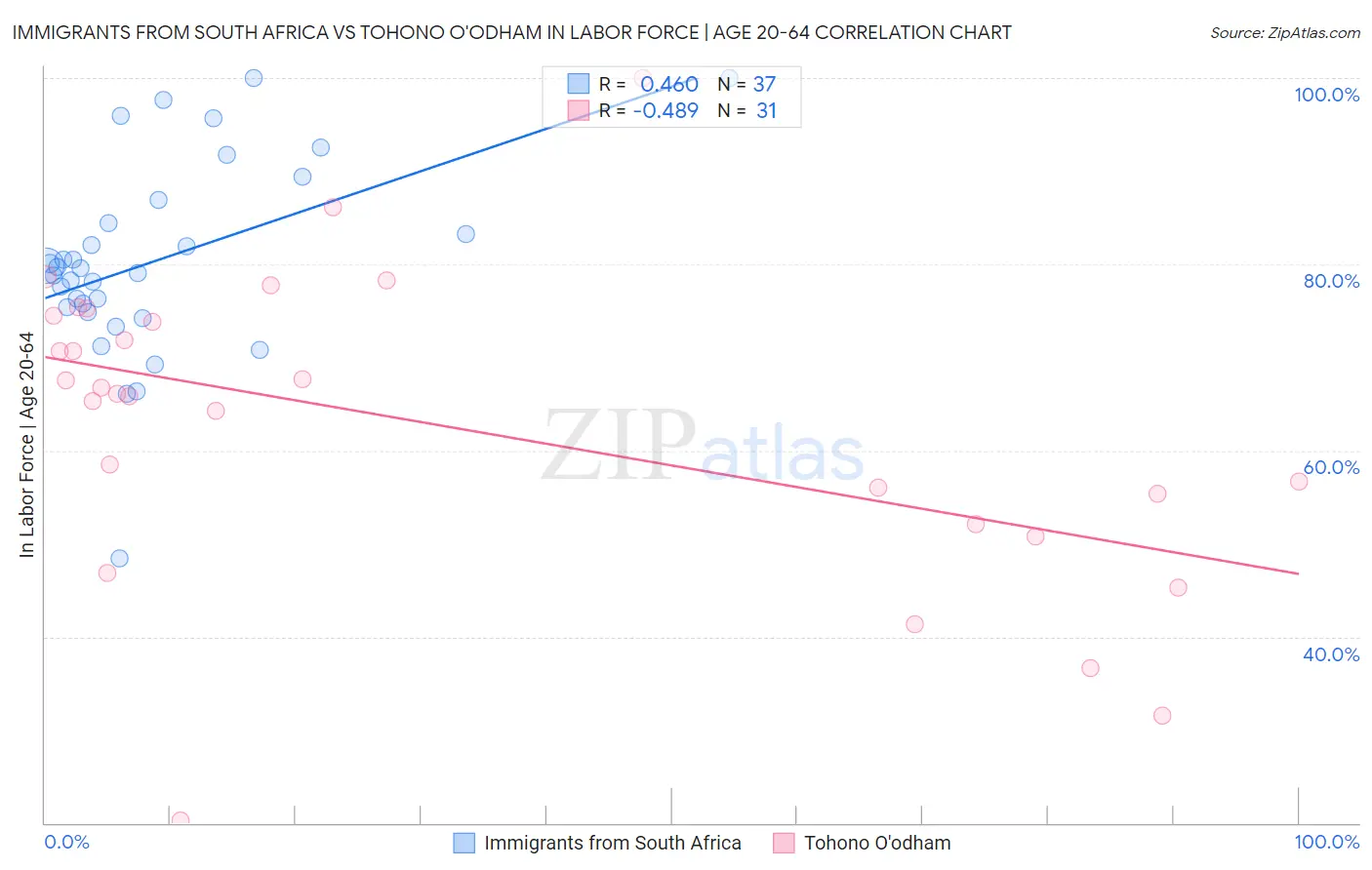 Immigrants from South Africa vs Tohono O'odham In Labor Force | Age 20-64