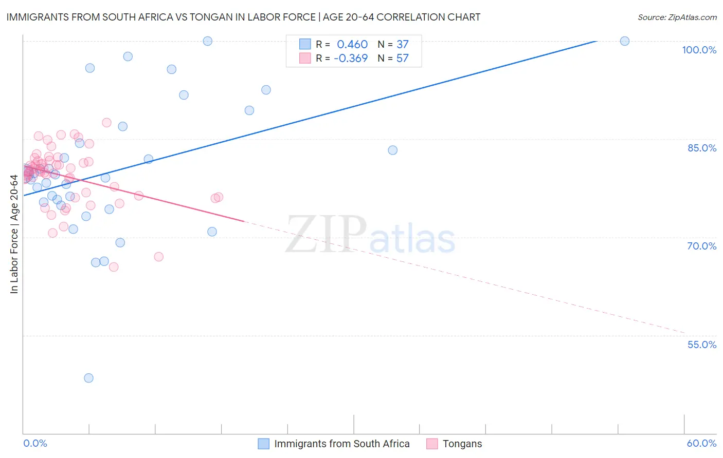 Immigrants from South Africa vs Tongan In Labor Force | Age 20-64