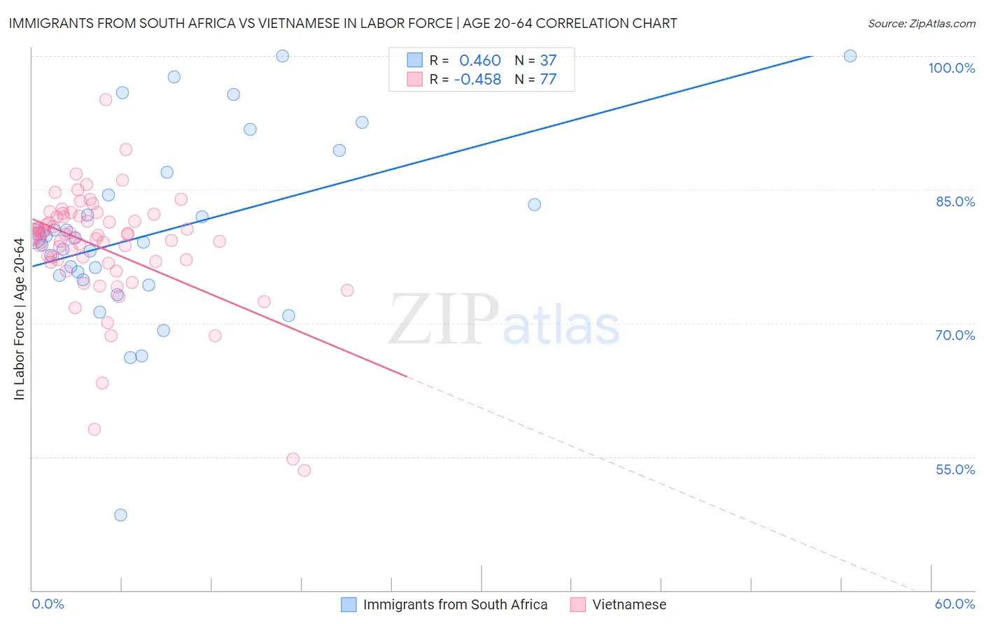 Immigrants from South Africa vs Vietnamese In Labor Force | Age 20-64