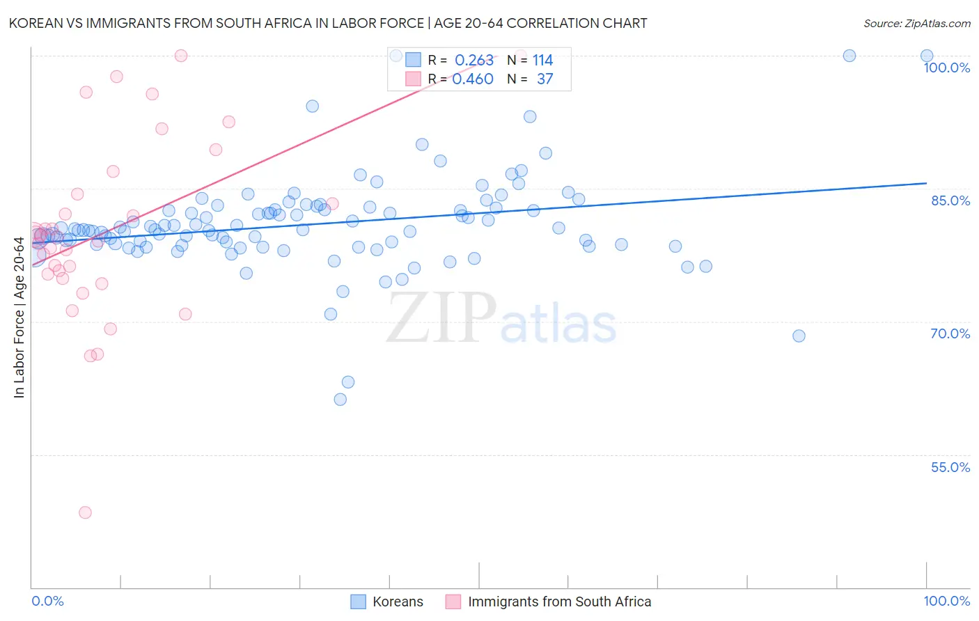 Korean vs Immigrants from South Africa In Labor Force | Age 20-64