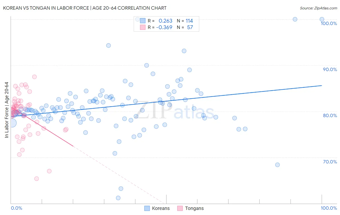 Korean vs Tongan In Labor Force | Age 20-64