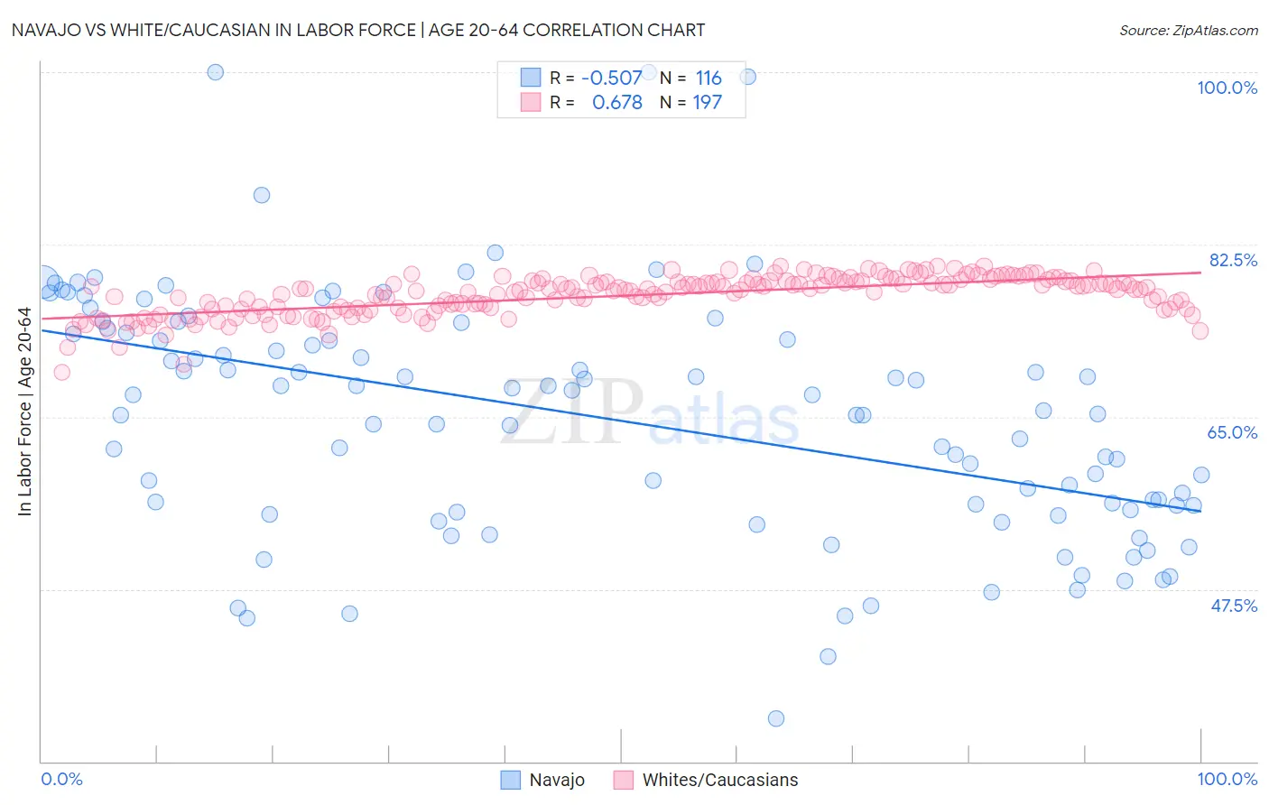 Navajo vs White/Caucasian In Labor Force | Age 20-64