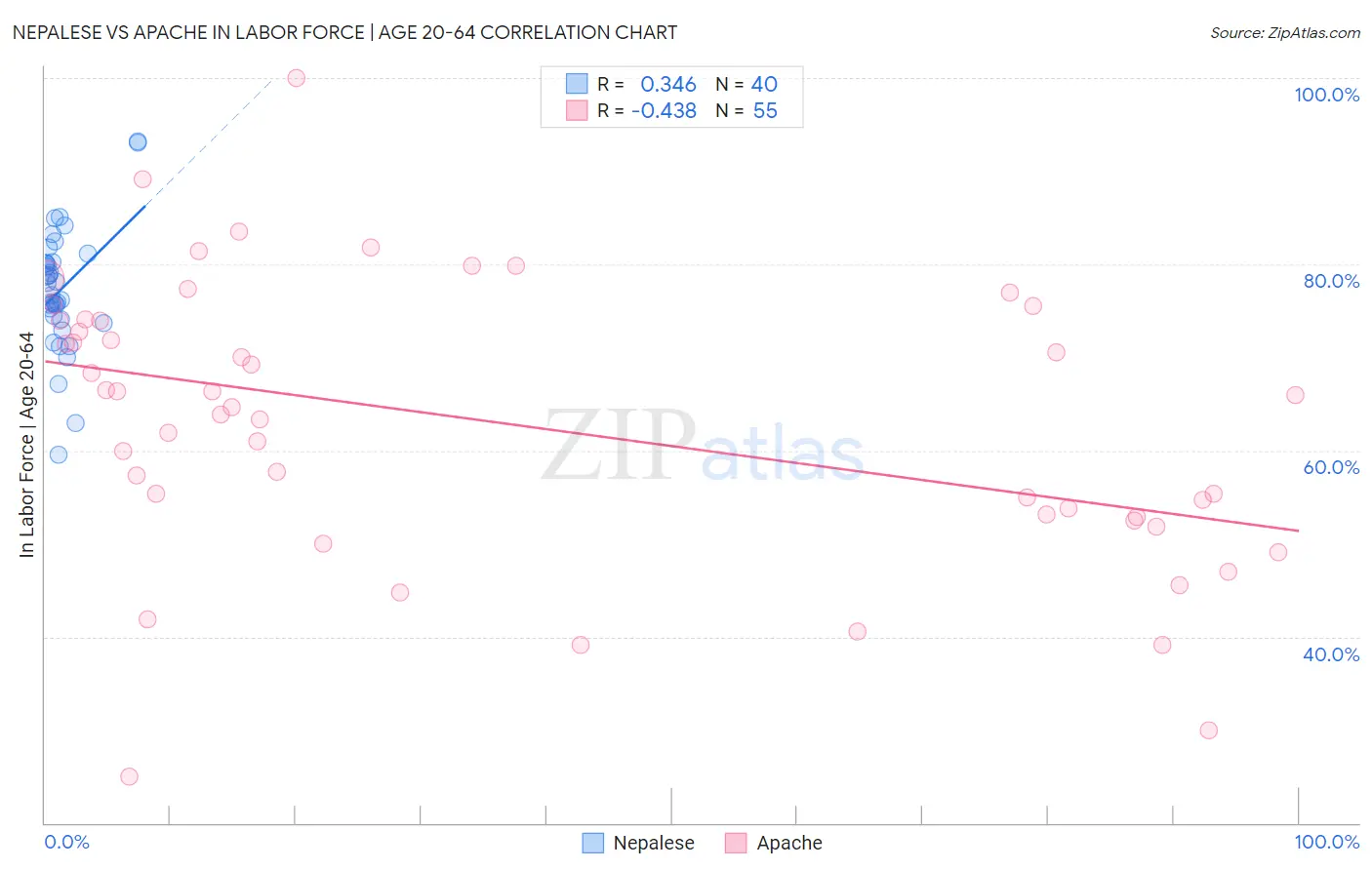 Nepalese vs Apache In Labor Force | Age 20-64