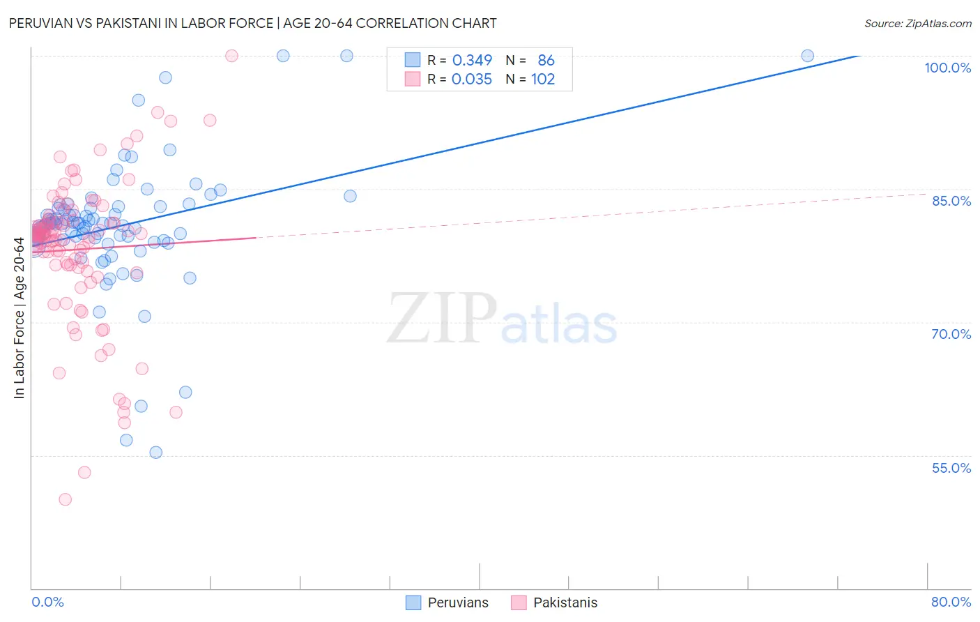 Peruvian vs Pakistani In Labor Force | Age 20-64