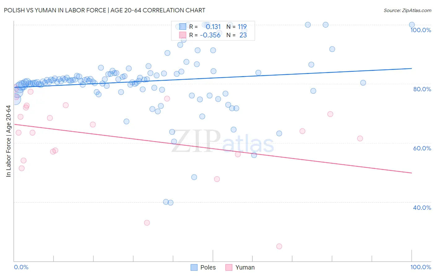 Polish vs Yuman In Labor Force | Age 20-64