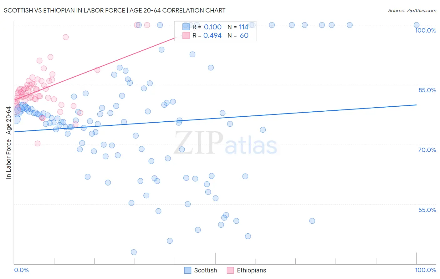 Scottish vs Ethiopian In Labor Force | Age 20-64