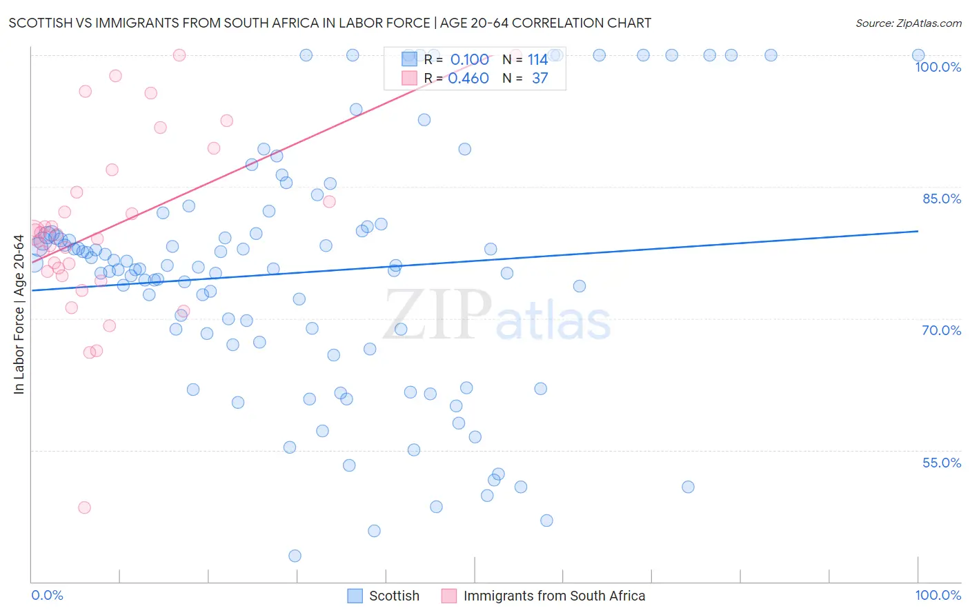 Scottish vs Immigrants from South Africa In Labor Force | Age 20-64