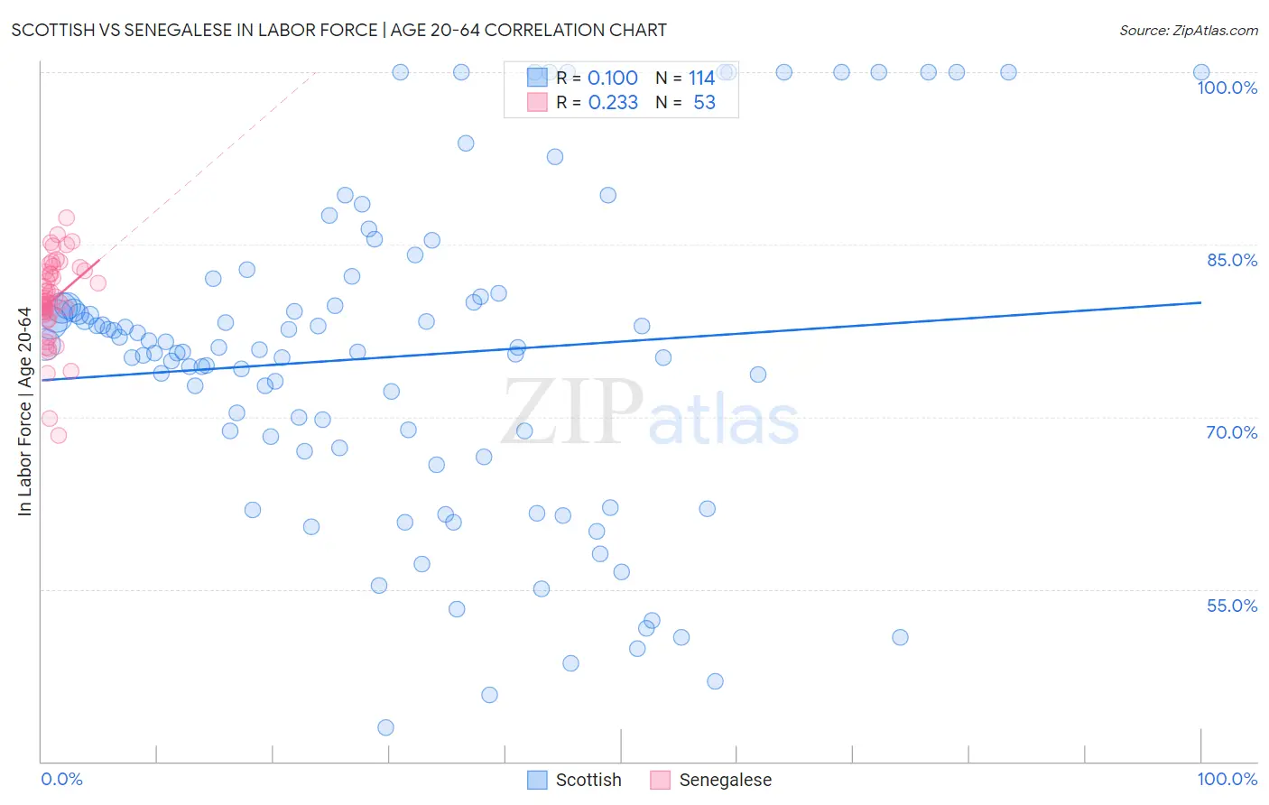 Scottish vs Senegalese In Labor Force | Age 20-64