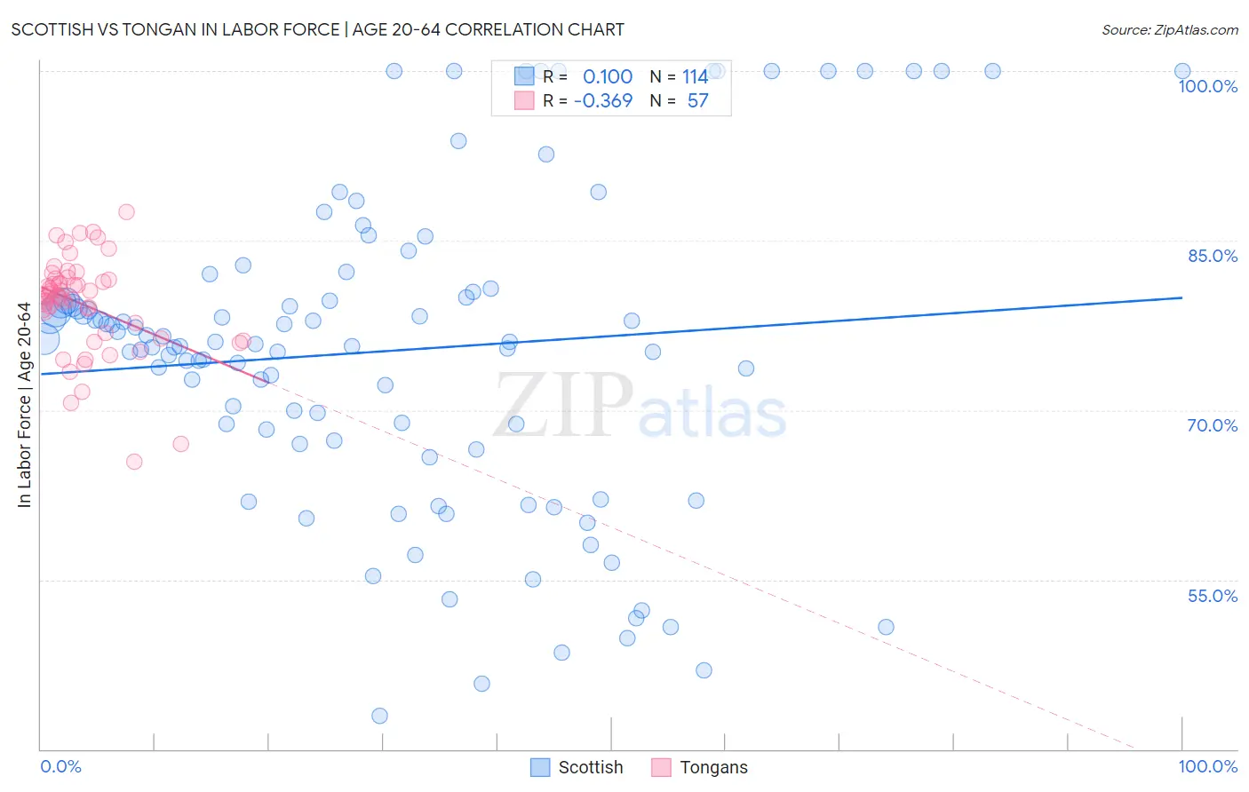 Scottish vs Tongan In Labor Force | Age 20-64