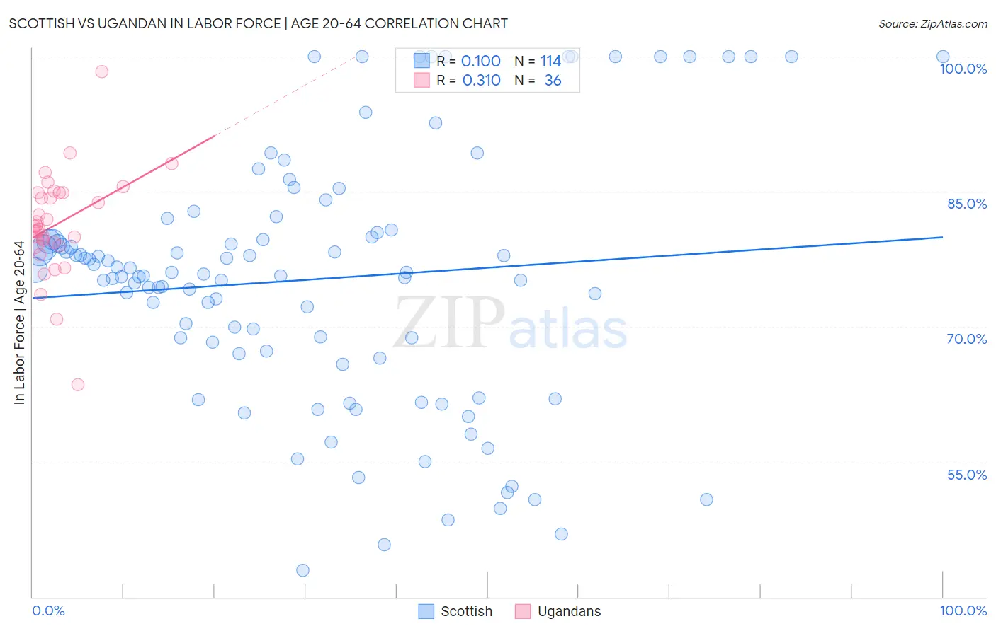 Scottish vs Ugandan In Labor Force | Age 20-64