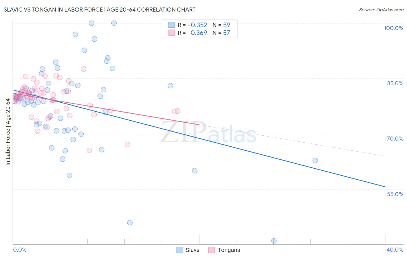 Slavic vs Tongan In Labor Force | Age 20-64