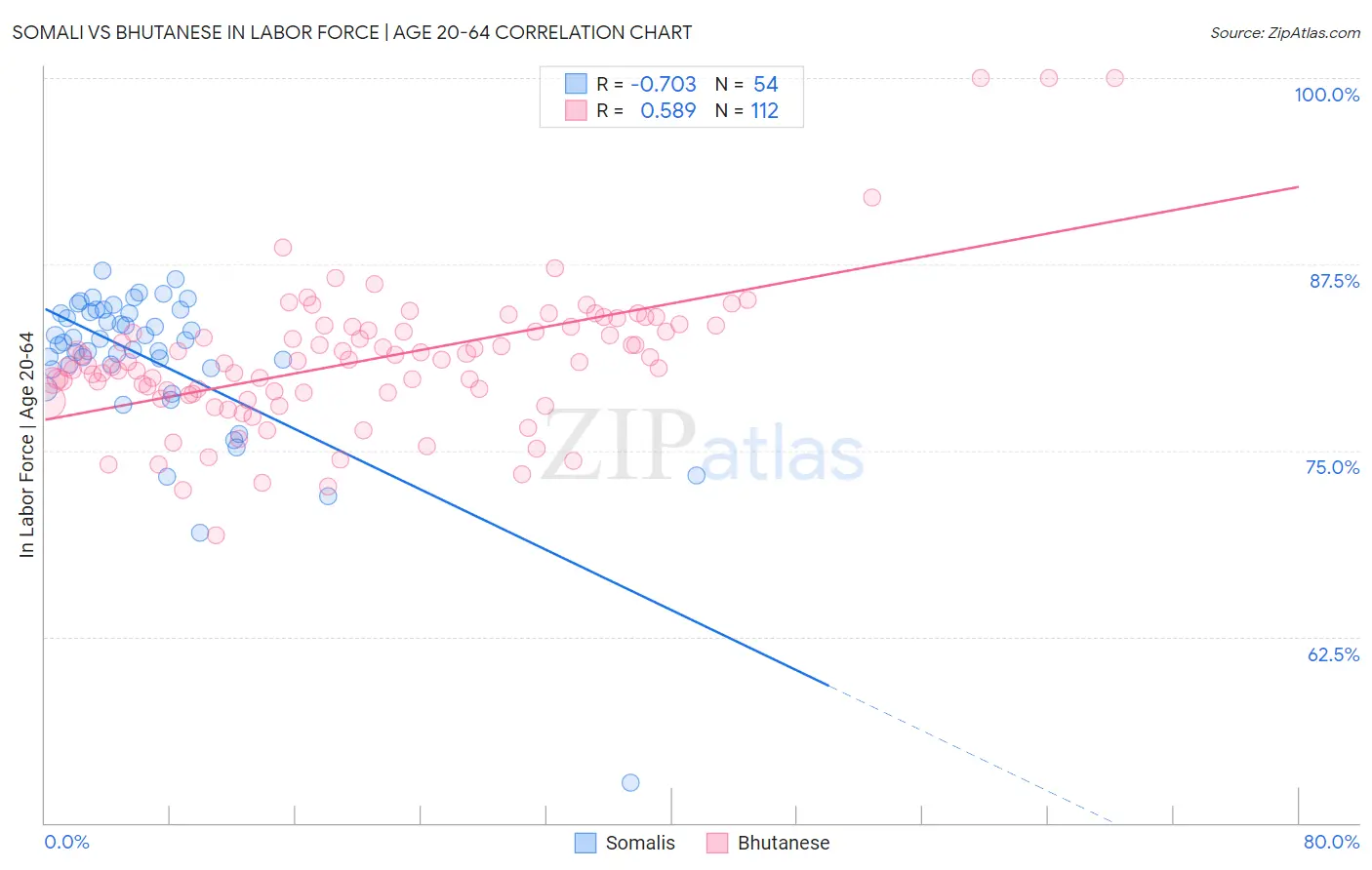 Somali vs Bhutanese In Labor Force | Age 20-64