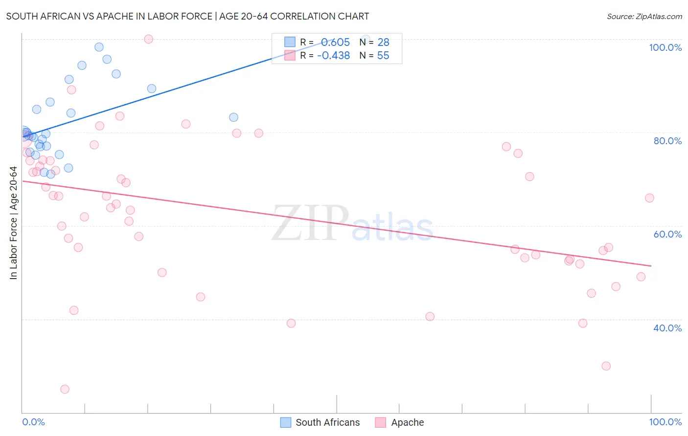 South African vs Apache In Labor Force | Age 20-64