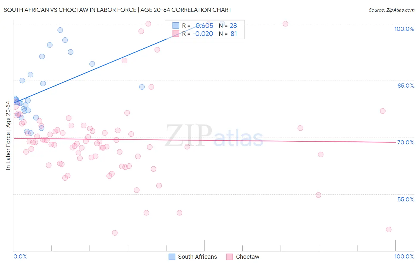 South African vs Choctaw In Labor Force | Age 20-64