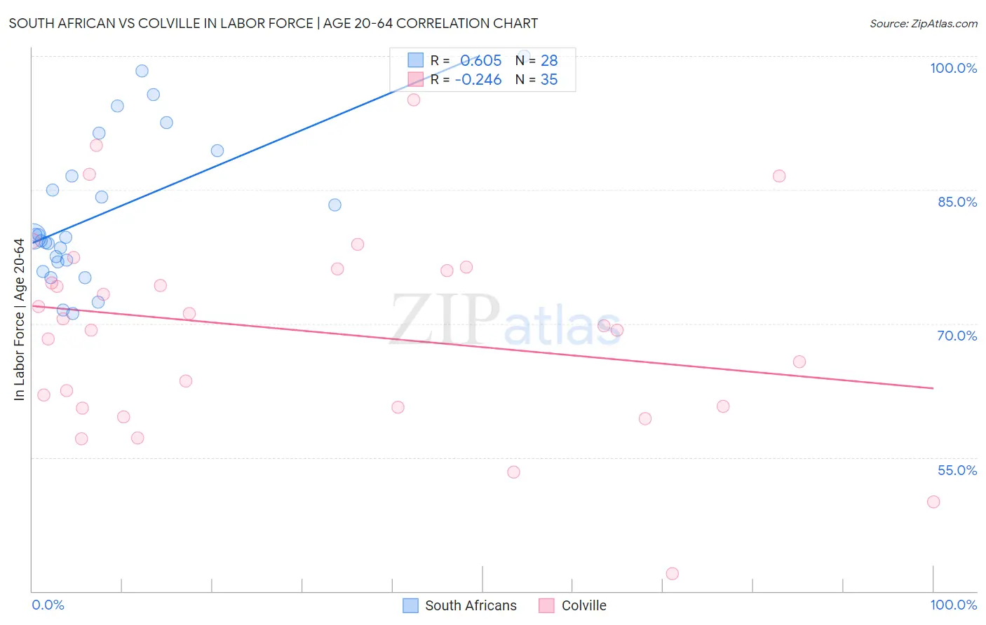 South African vs Colville In Labor Force | Age 20-64