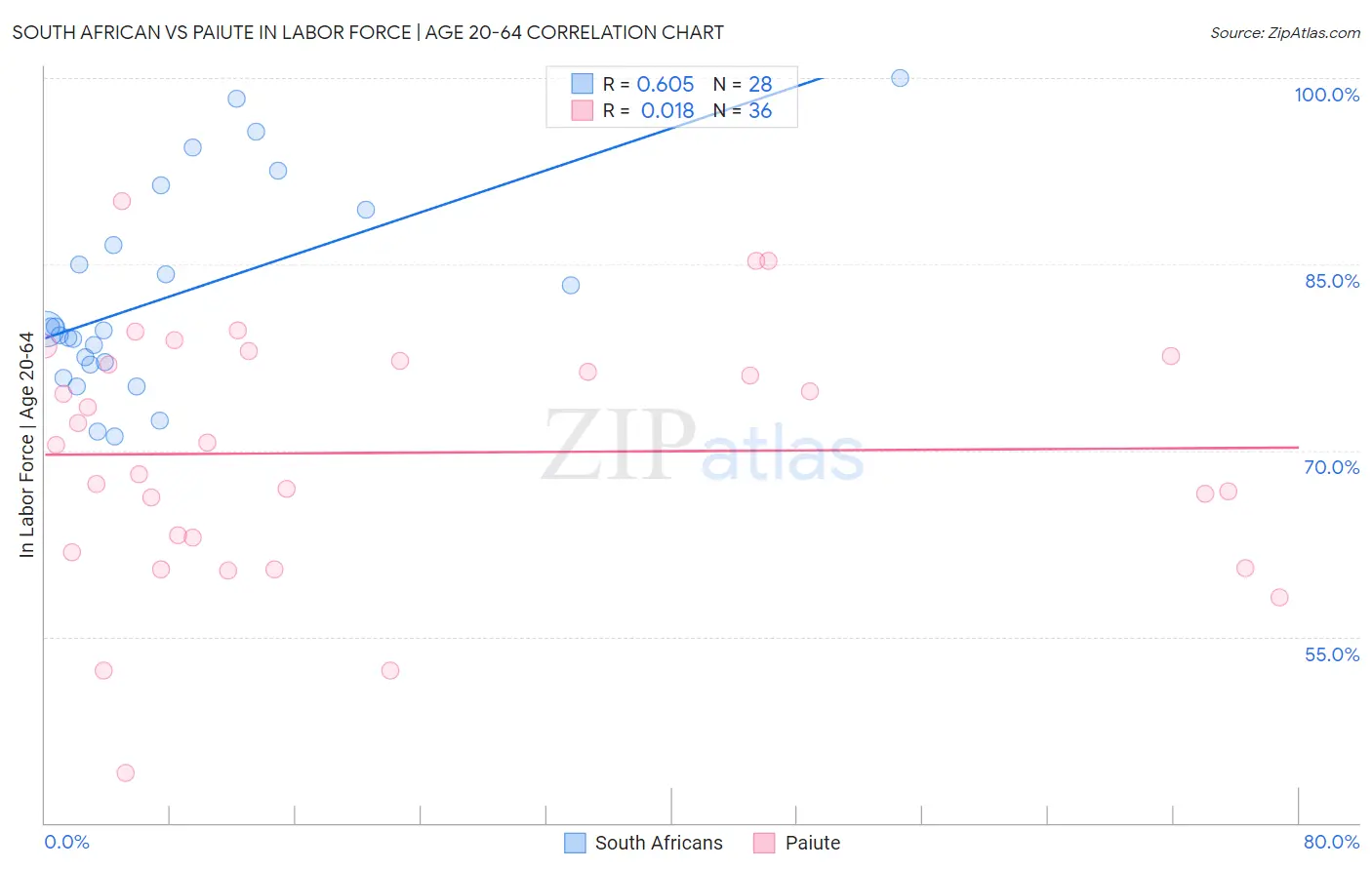 South African vs Paiute In Labor Force | Age 20-64